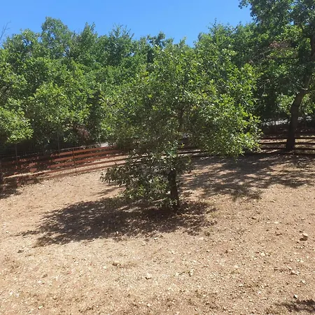 Tenuta Il Guerriero
