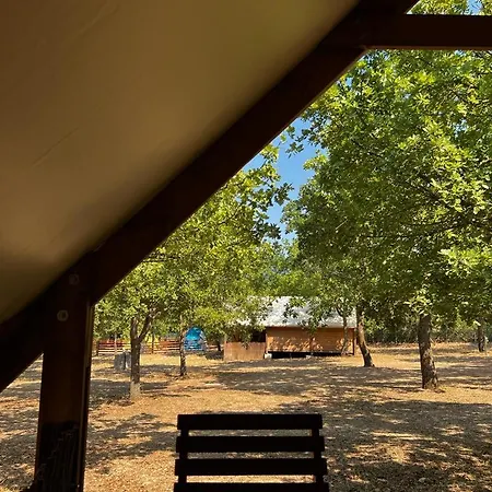 Tenuta Il Guerriero *