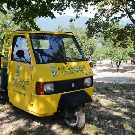 Campsite Tenuta Il Guerriero Capestrano