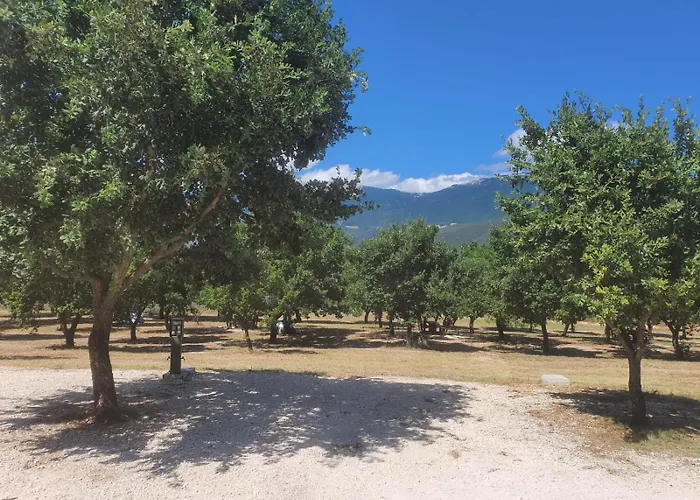 Kamp alanı Tenuta Il Guerriero *