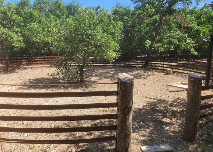 Tenuta Il Guerriero Кемпинг Capestrano