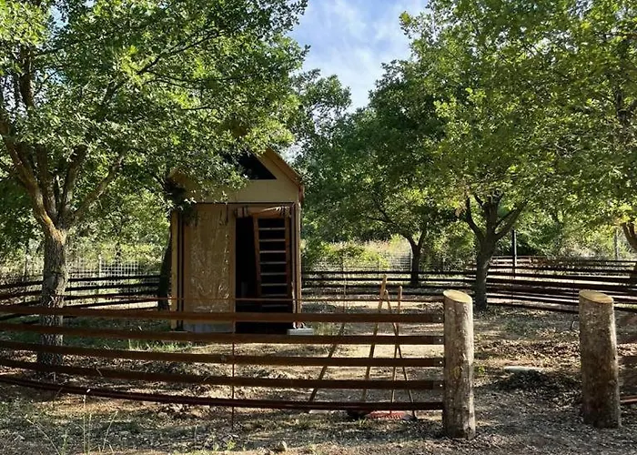 Tenuta Il Guerriero *