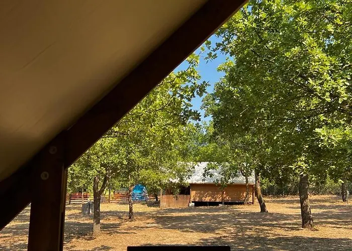 Tenuta Il Guerriero *